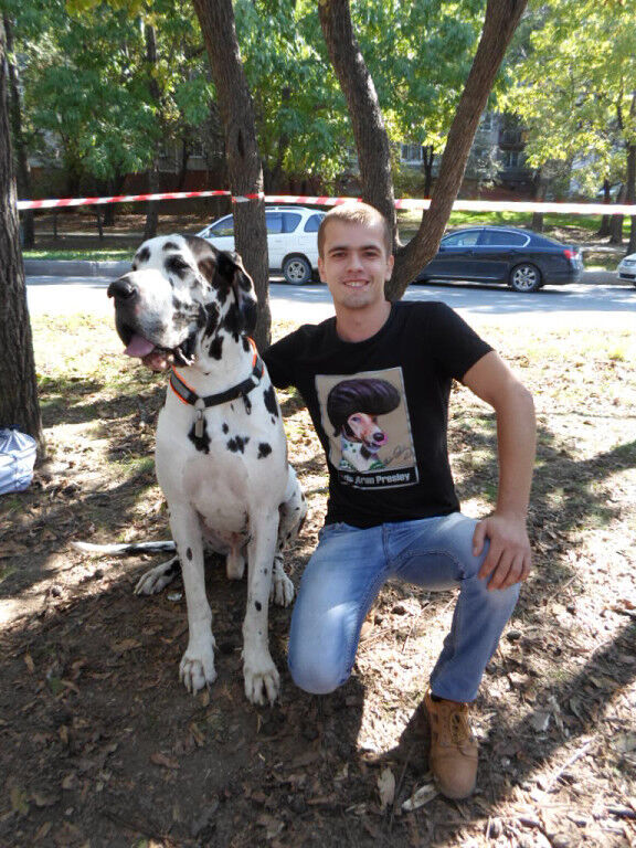 ���� 5535032 ������� ���������, 35 ���, ���� ���������� � ����������