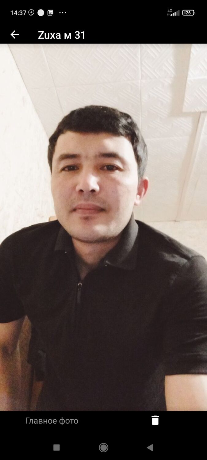  ,   Zuxa, 34 ,   ,   