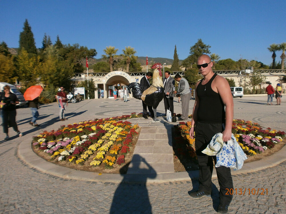  ,   , 34 ,   