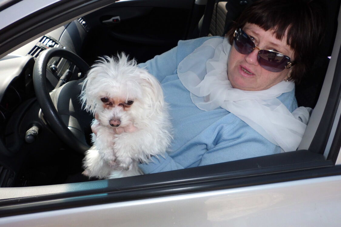 ���� 4492162 ������� �������, 77 ���, ���� ���������� � �����