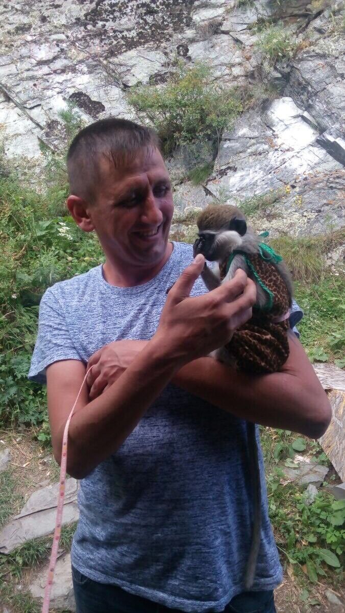 ���������� ������, ���� ������� ���������, 46 ���, ������������ ��� ������, ����� � ���������, c�������� ���������