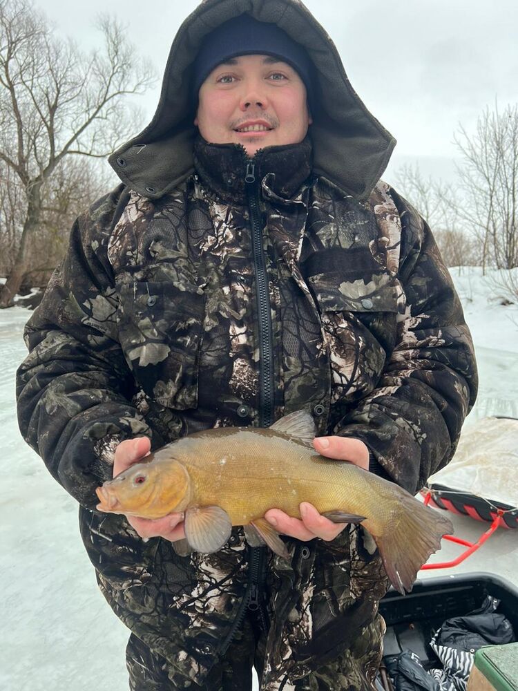 ���� 43662302 ������� Dimon, 34 ����, ���� ���������� � ���������� ������