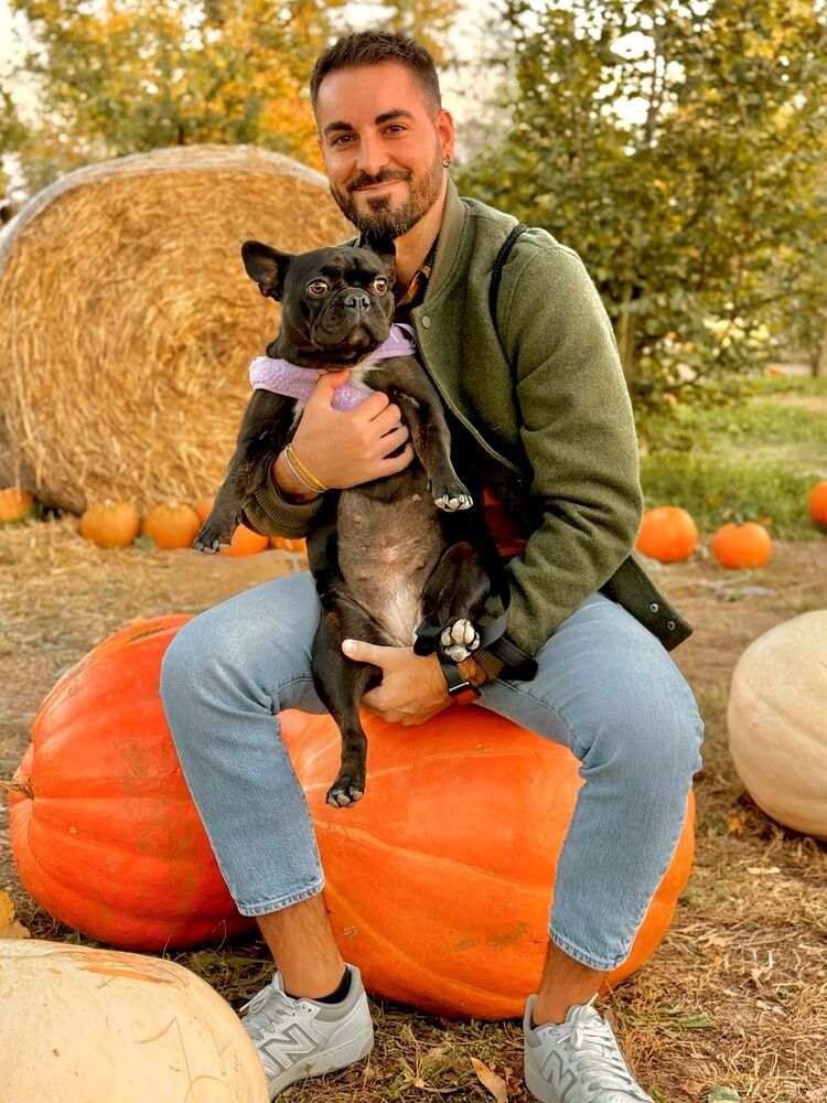 ���������� �����������, ���� ������� ����, 32 ����, ������������ ��� ������, ����� � ���������, c�������� ���������, ���������