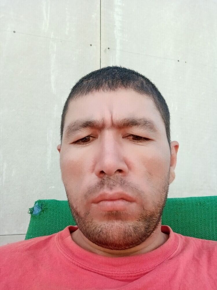  20843682  , 39 ,    