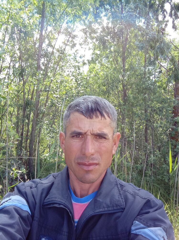 ���������� ����������, ���� ������� ��������, 43 ����, ������������ ��� ������, ����� � ���������