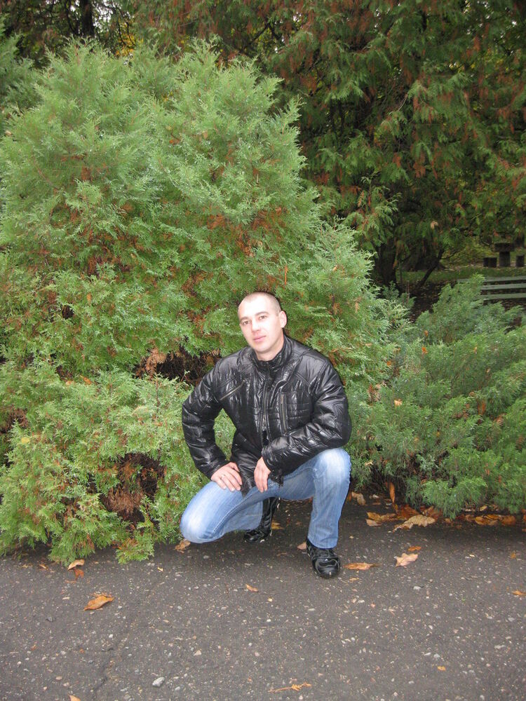 ���� 4439602 ������� �������, 40 ���, ���� ���������� � �����