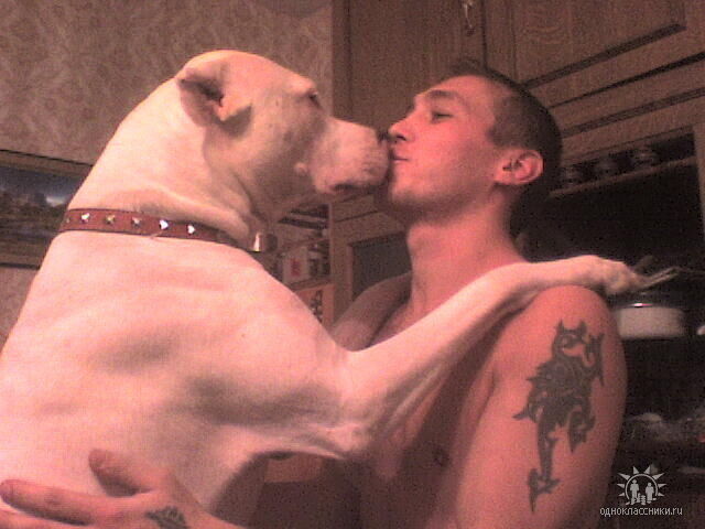 ���� 54545962 ������� �����, 42 ����, ���� ���������� � ���������