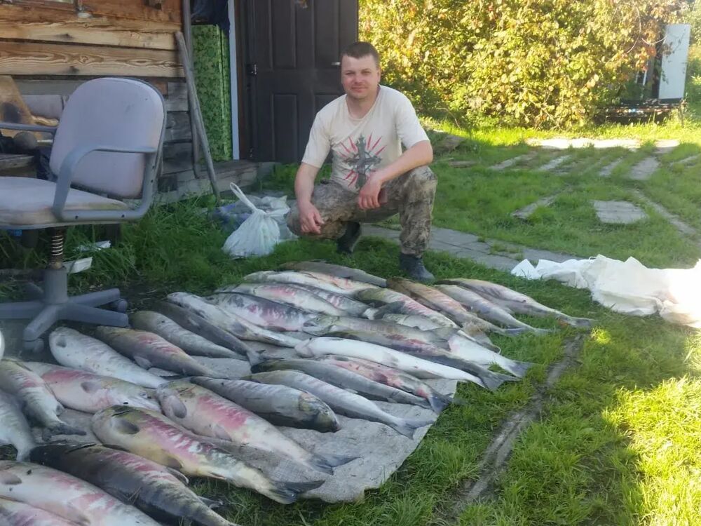 ���� 53096152 ������� ��������, 38 ���, ���� ���������� � ������������-��-�����