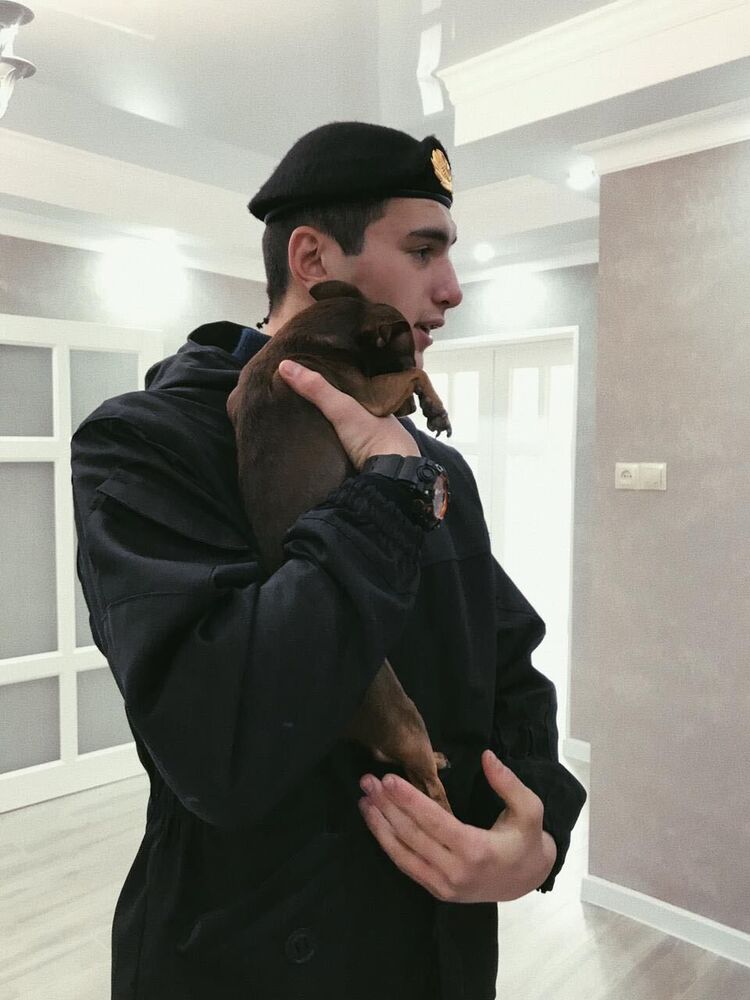 ���������� �����������, ���� ������� �������, 28 ���, ������������ ��� ������, ����� � ���������