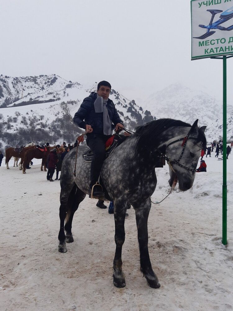 ���������� �������, ���� ������� ������, 38 ���, ������������ ��� ������, ����� � ���������, c�������� ���������