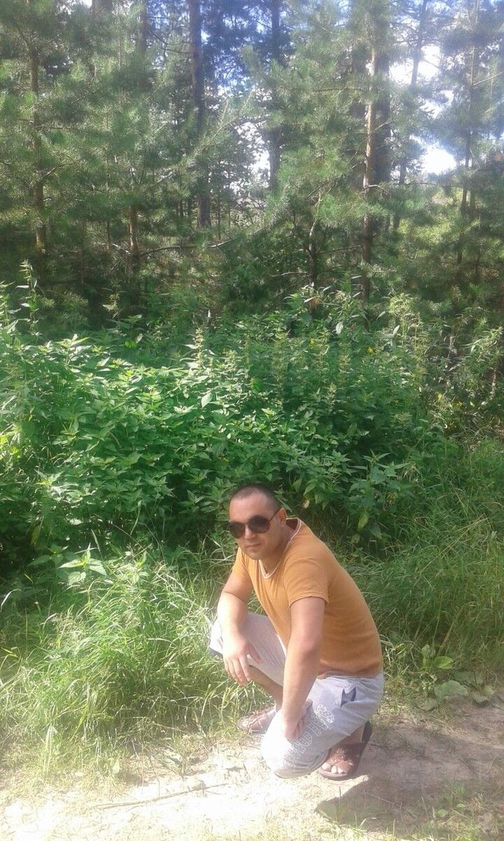 ���������� ������, ���� ������� ���, 38 ���, ������������ ��� ������, ����� � ���������, c�������� ���������