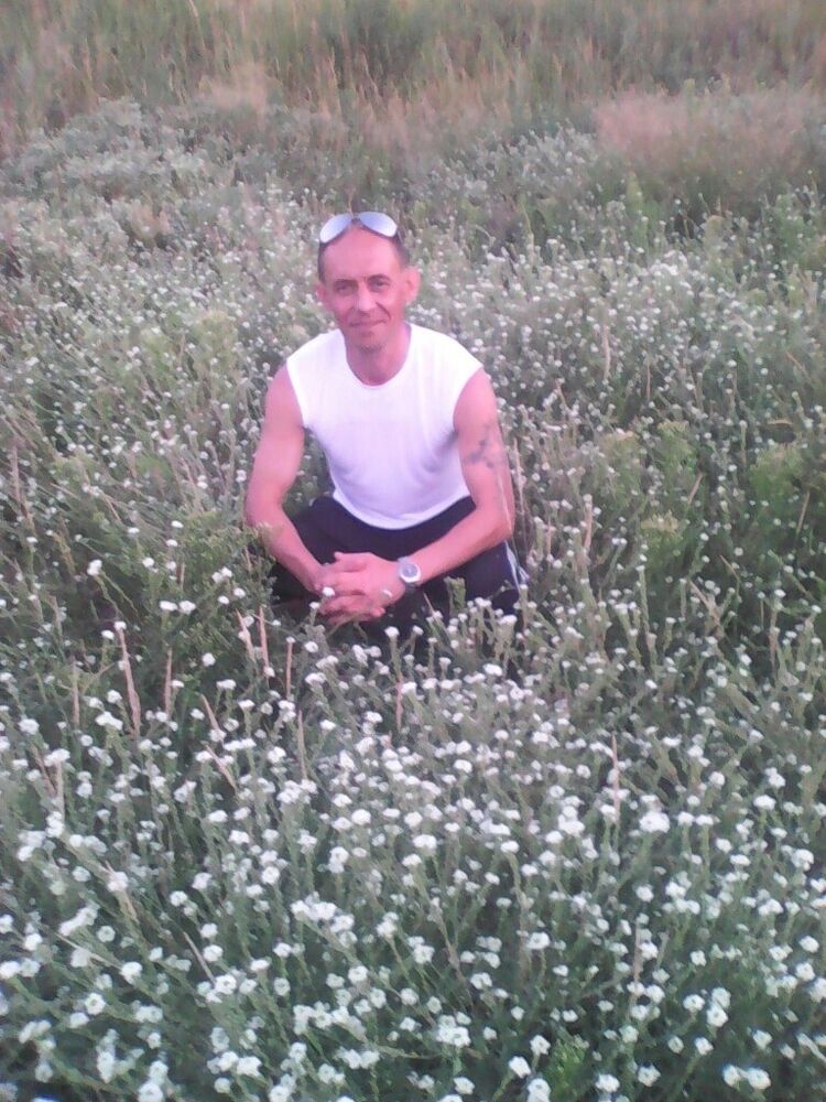 ���� 42366402 ������� ������, 44 ����, ���� ���������� � ������