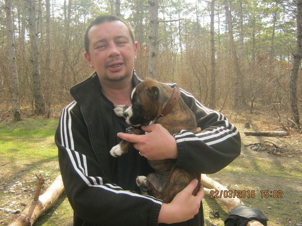 ���������� �����������, ���� ������� �����, 43 ����, ������������ ��� ������, ����� � ���������, c�������� ���������