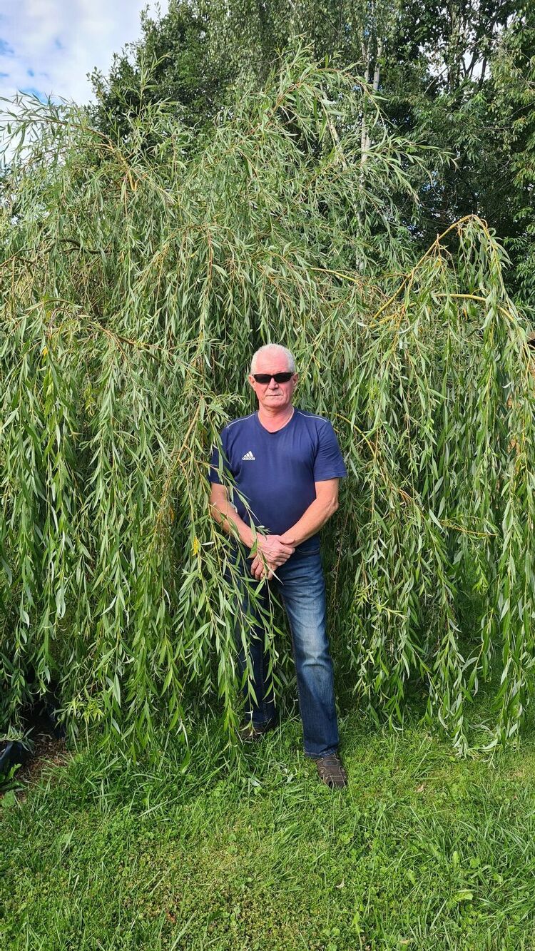  Simmern,   , 55 ,   ,   