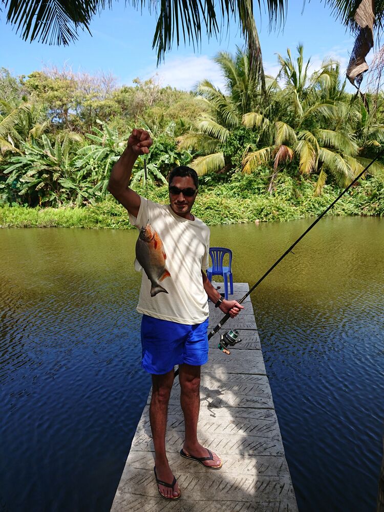 ���������� ������, ���� ������� Vaan, 45 ���, ������������ ��� c�������� ���������