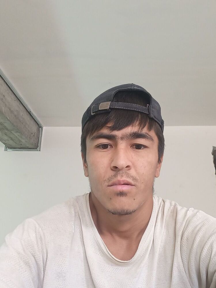  43833022  , 29 ,    