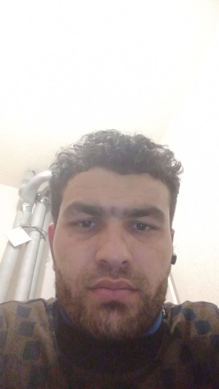 33002462  , 31 ,    