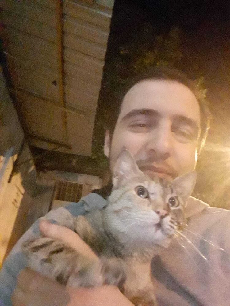 ���� 23441222 ������� Giorgi, 31 ���, ���� ���������� � �����