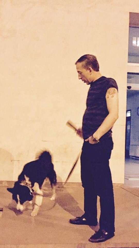 ���� 9978232 ������� Bako, 49 ���, ���� ���������� � �������