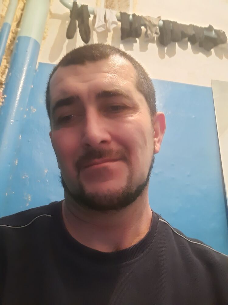  24461572  , 45 ,    