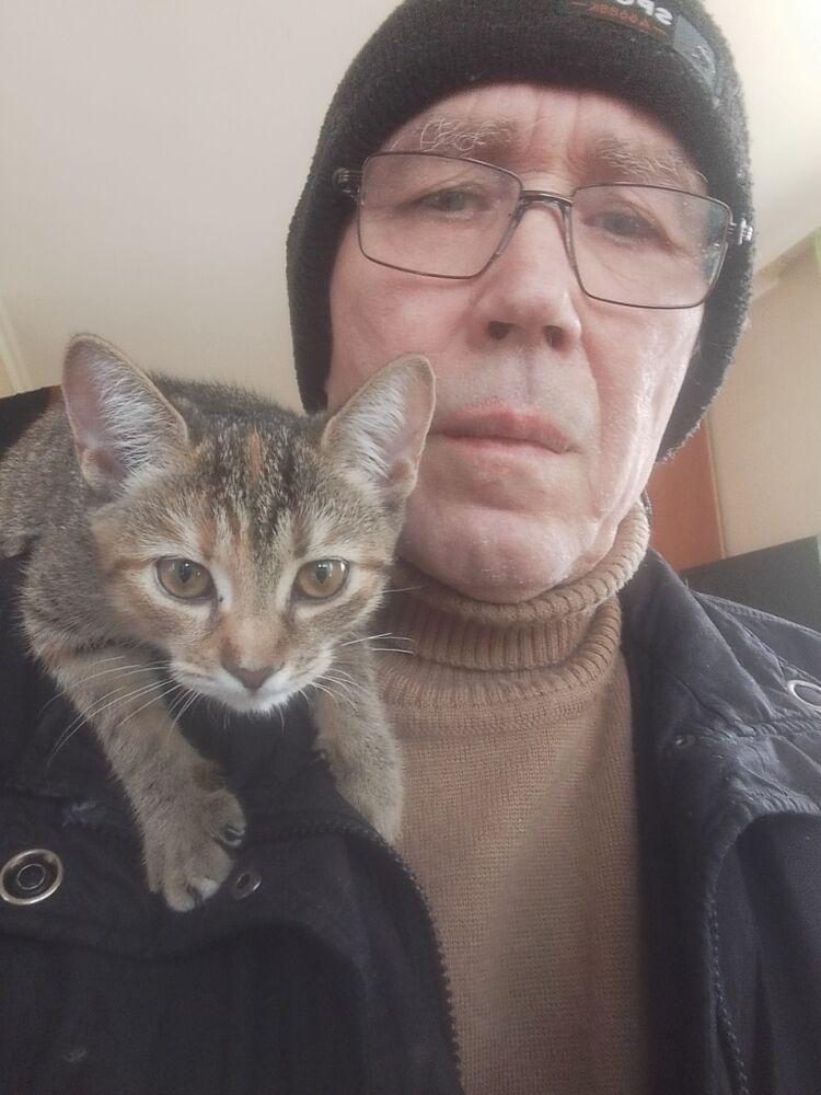 ���� 56035122 ������� ��������, 71 ���, ���� ���������� � ������