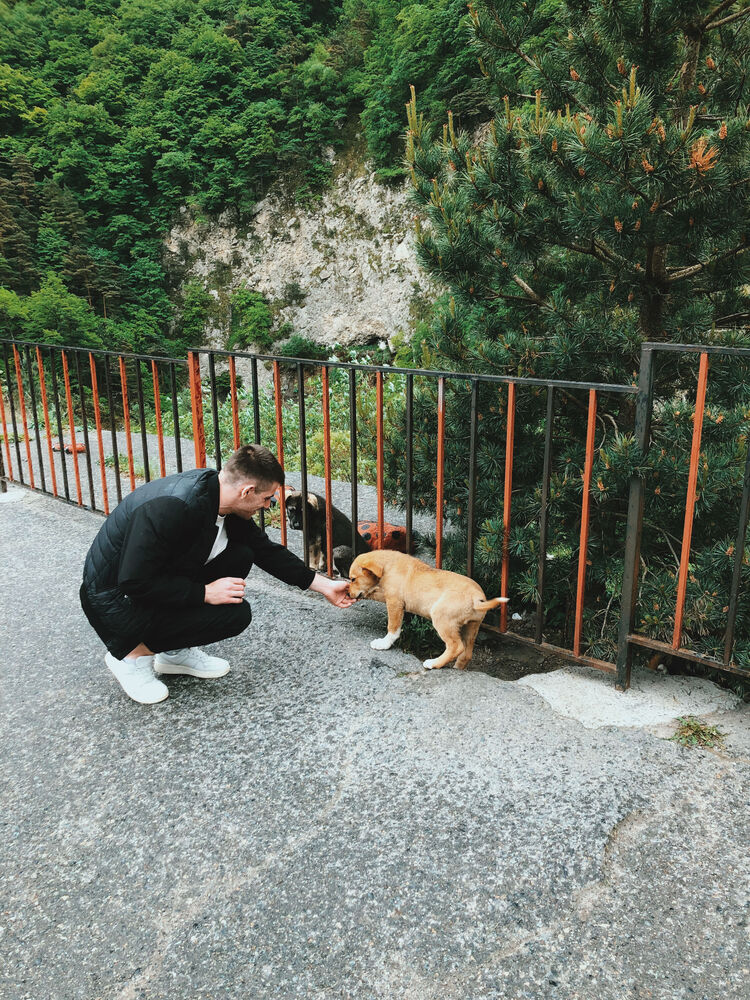  ,   Maksim, 29 ,   ,   , 