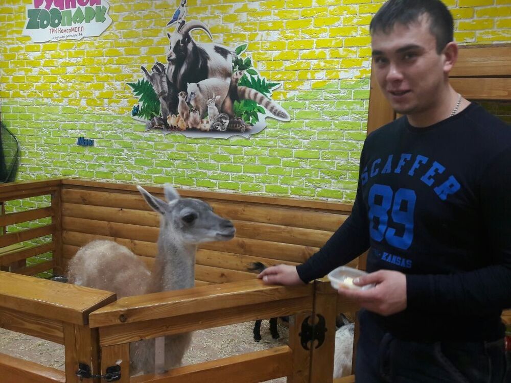 ���������� ������, ���� ������� �����, 35 ���, ������������ ��� ������, ����� � ���������, c�������� ���������