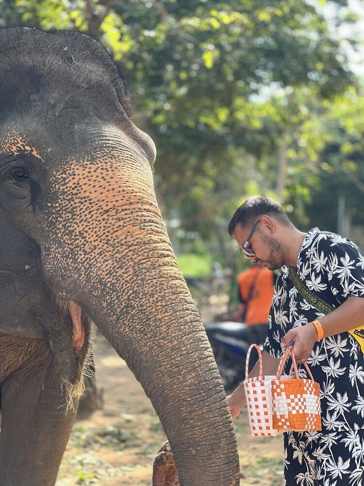  42316082  , 34 ,    Phuket