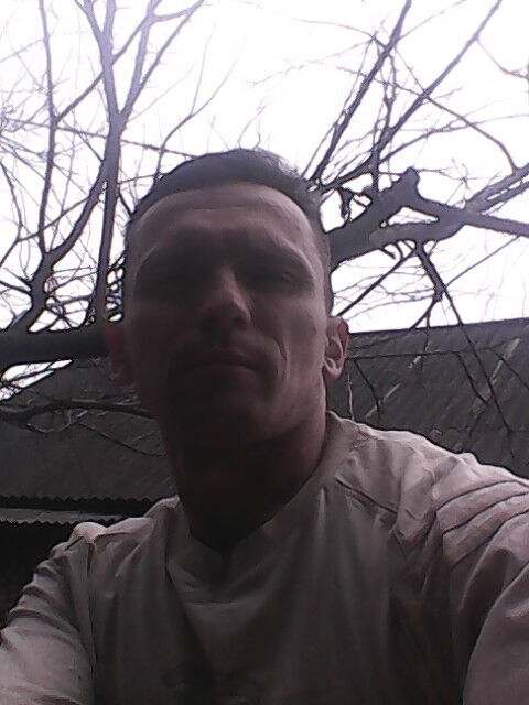 15299282  , 44 ,    