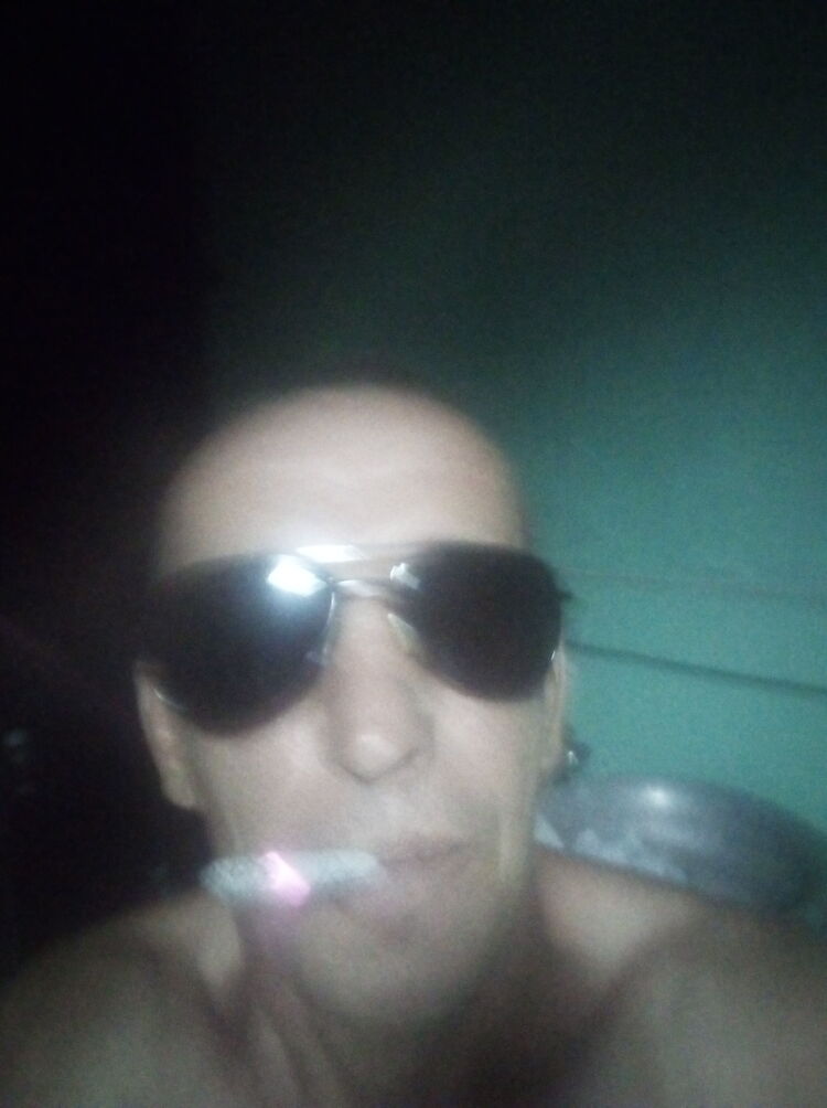  29278952  , 43 ,    