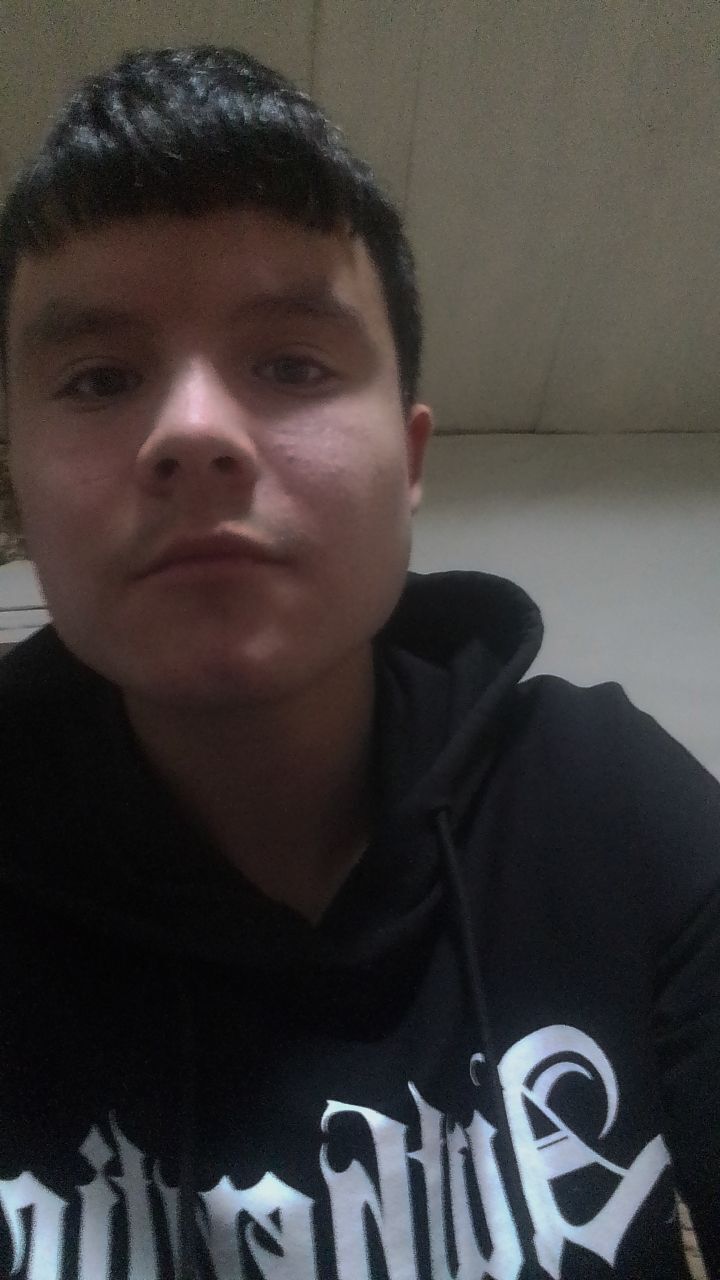  39335032  , 20 ,    