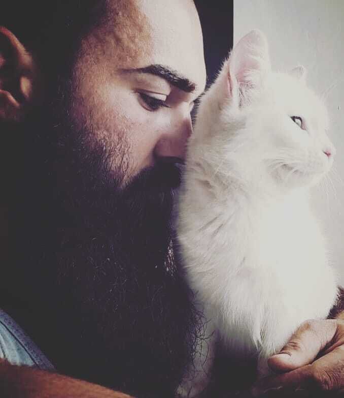 ���������� ����, ���� ������� ��, 32 ����, ������������ ��� ������, ����� � ���������, c�������� ���������