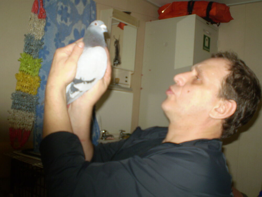 ���������� ������, ���� ������� ������, 54 ����, ������������ ��� ����� � ���������, c�������� ���������