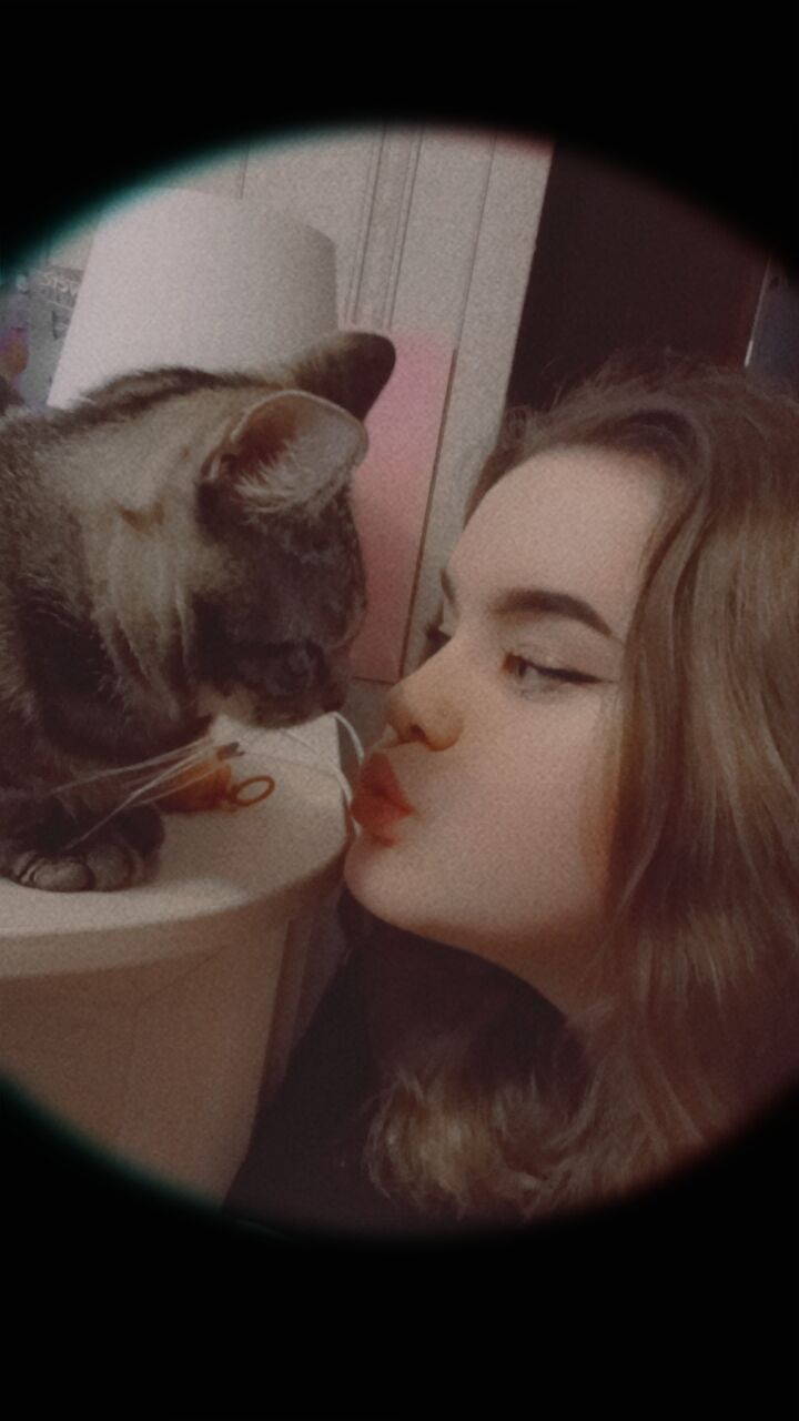 ���������� �����-���������, ���� ������� ���������, 20 ���, ������������ 