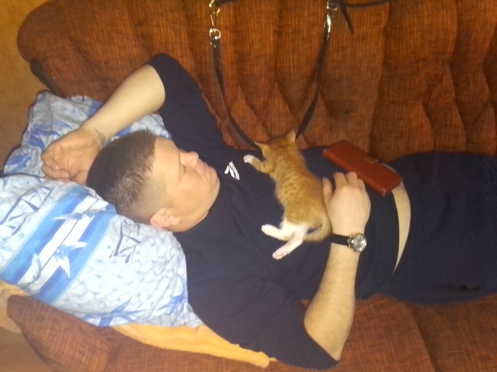 ���� 43085092 ������� Vasay, 43 ����, ���� ���������� � ������