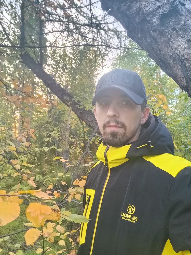 ���� 28936112 ������� ���������, 33 ����, ���� ���������� � ���������