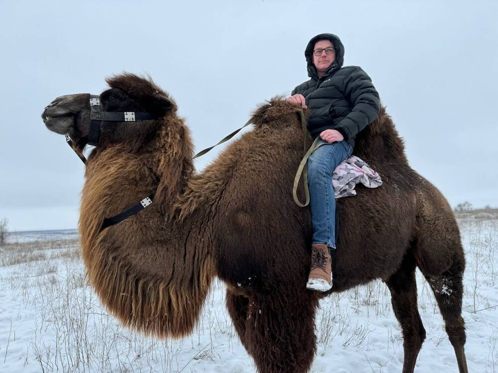 ���������� ������, ���� ������� ����, 48 ���, ������������ ��� ������, ����� � ���������, ���������