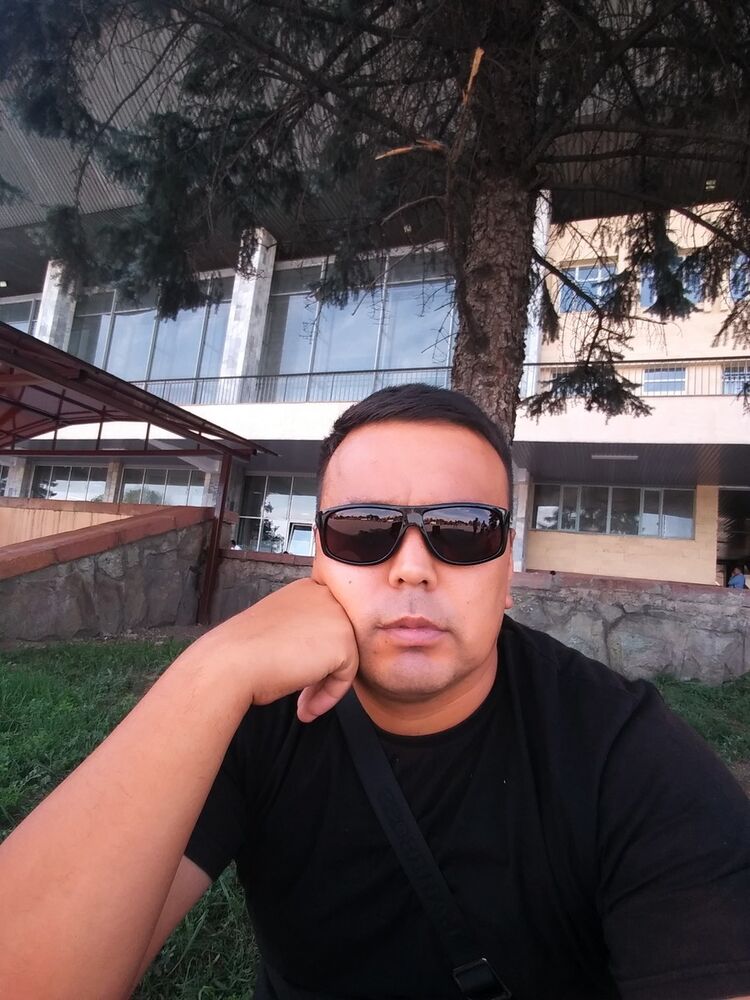  17806582  , 43 ,    