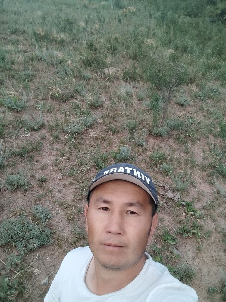 ���� 38305712 ������� Kamchybek, 36 ���, ���� ���������� � �������