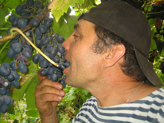  5154232  Sergey, 61 ,    -