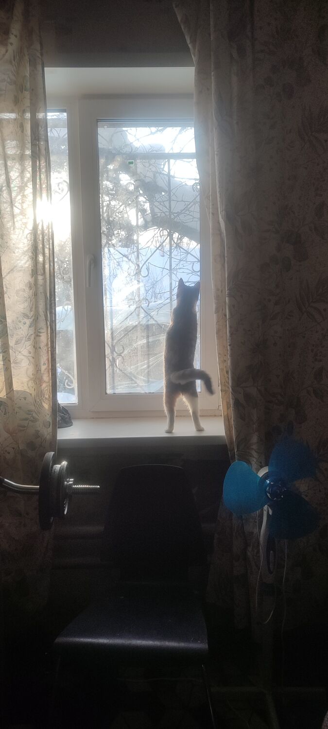 ���� 55329552 ������� ����, 30 ���, ���� ���������� � �������������