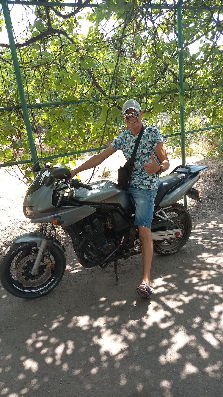  31497902  , 38 ,    