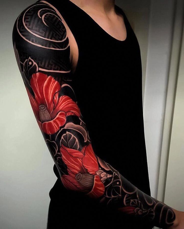 ���������� �����-���������, ���� ������� Wolf, 30 ���, ������������ ��� ������, ����� � ���������, ���������