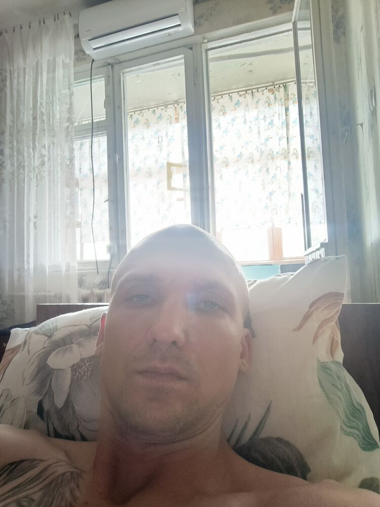  51954702  , 36 ,    