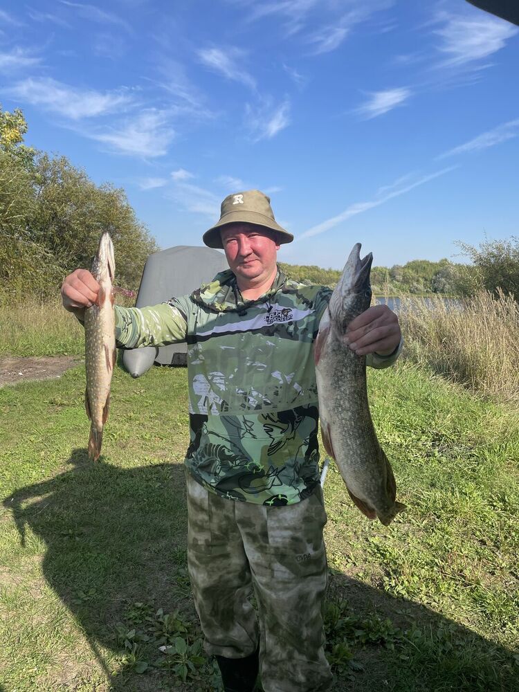 ���� 55663842 ������� ������, 32 ����, ���� ���������� � ������