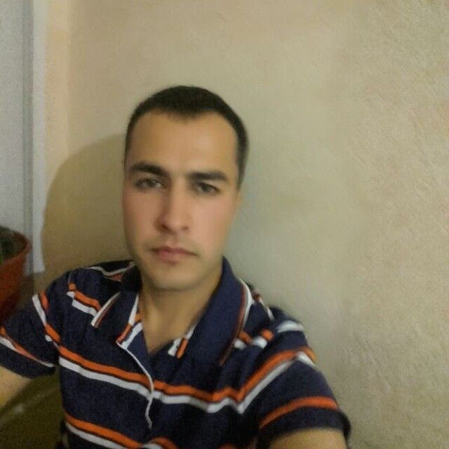  15598992  , 33 ,    -