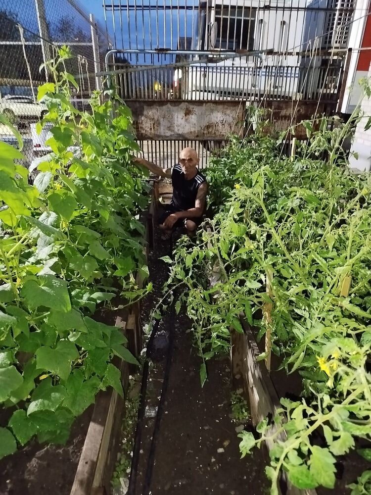 ���������� ����, ���� ������� Husik, 52 ����, ������������ ��� ������, ����� � ���������