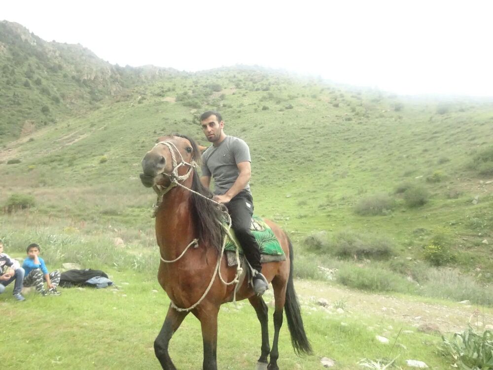 ���� 33806622 ������� ����, 32 ����, ���� ���������� � �������