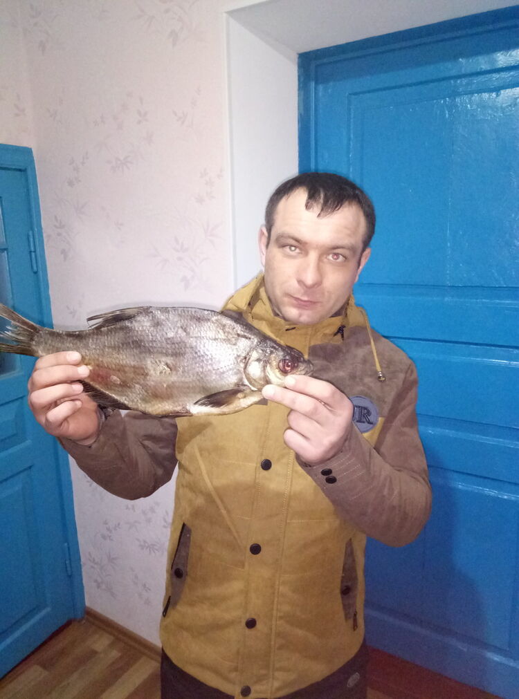  9063682  Igor, 39 ,    
