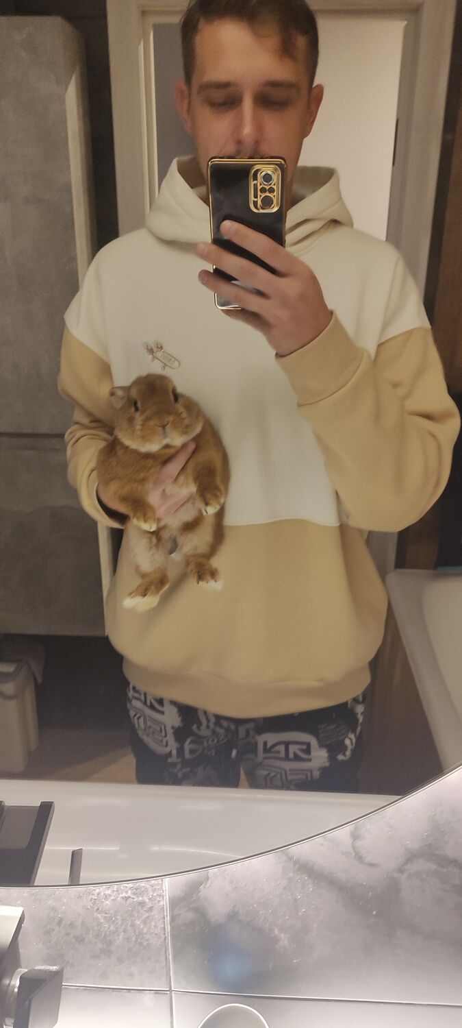 ���������� ������, ���� ������� ������, 35 ���, ������������ ��� ������, ����� � ���������, c�������� ���������, ���������